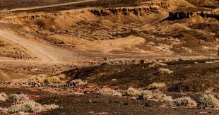 MLB》率先晋级！ 光芒连续3年勇闯季后赛